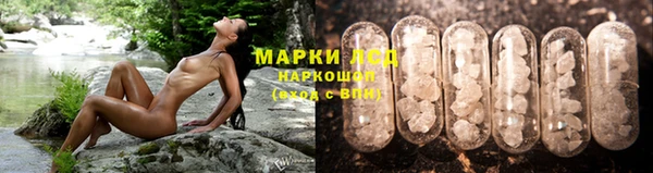 трава Балахна